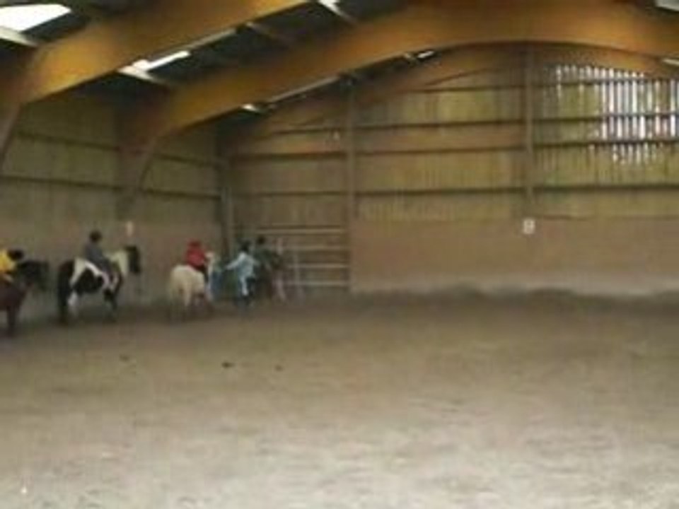 Poney Andreas 4