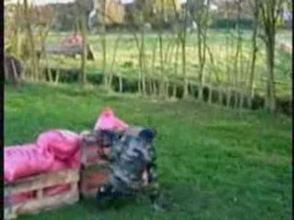 Partie du 19.10.2008