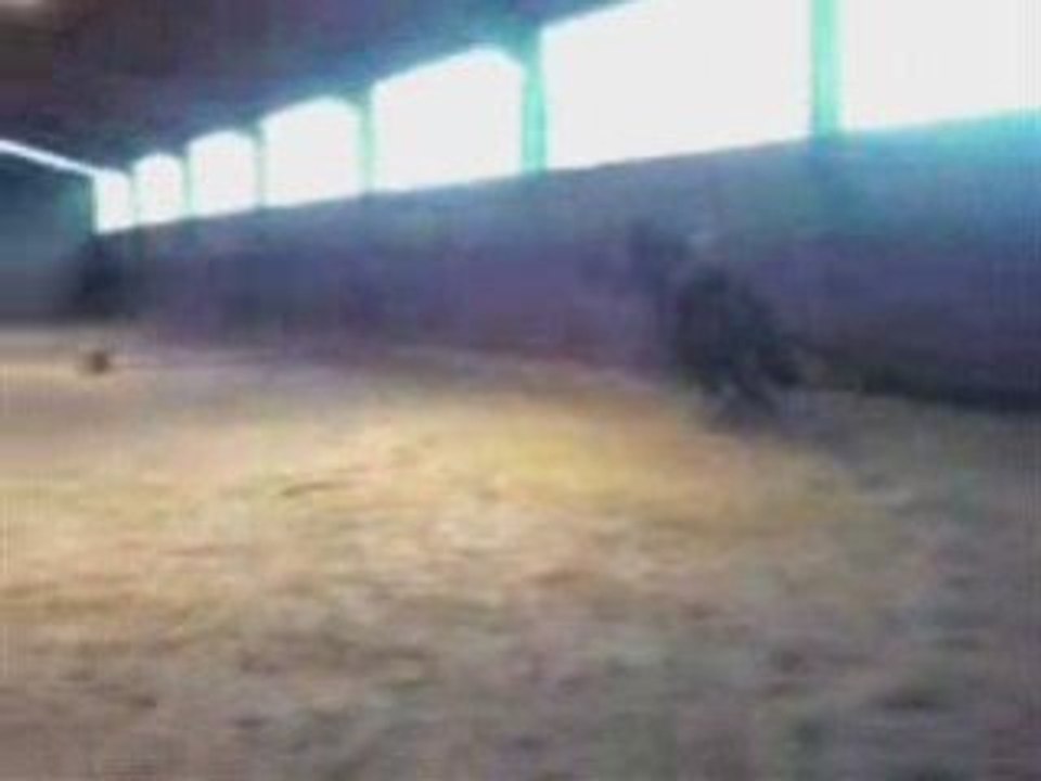 Doudou manège