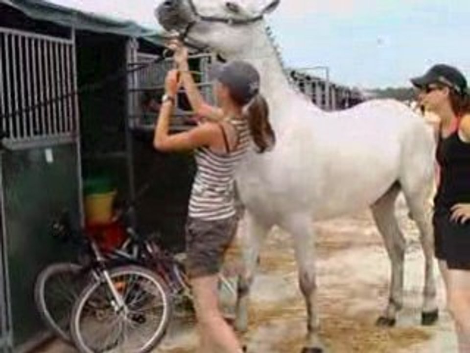 Lamotte 2008  au box