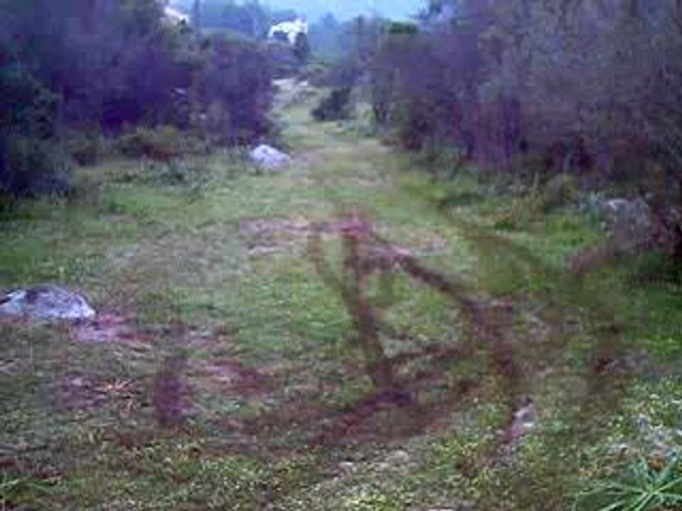 La glisse en 4L CC