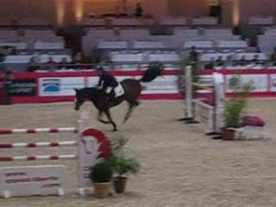 Marcus Ehning. Equita' Lyon 2008