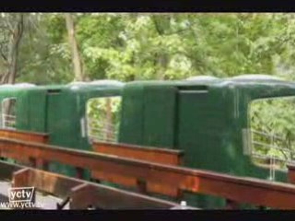 Bronx Zoo - New York, New York