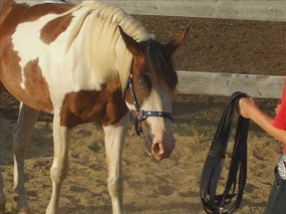 Rachel et sky
