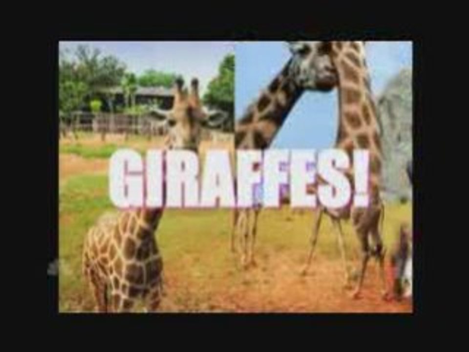 Giraffes ( Metal Remix )