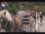 Central Park Carriage Rides - New York, New York