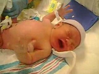 kieran daniel harrison delmo