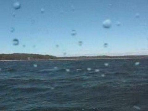 Kayaking with humpback whales