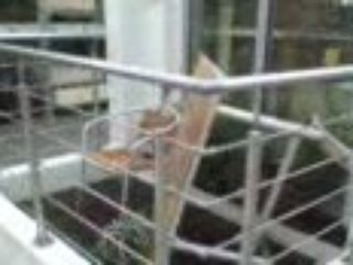 Expo Pro-Feel à Leroy Merlin Rueil-Malmaison