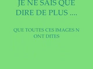 JARDIN ORANGERIE VERSAILLES