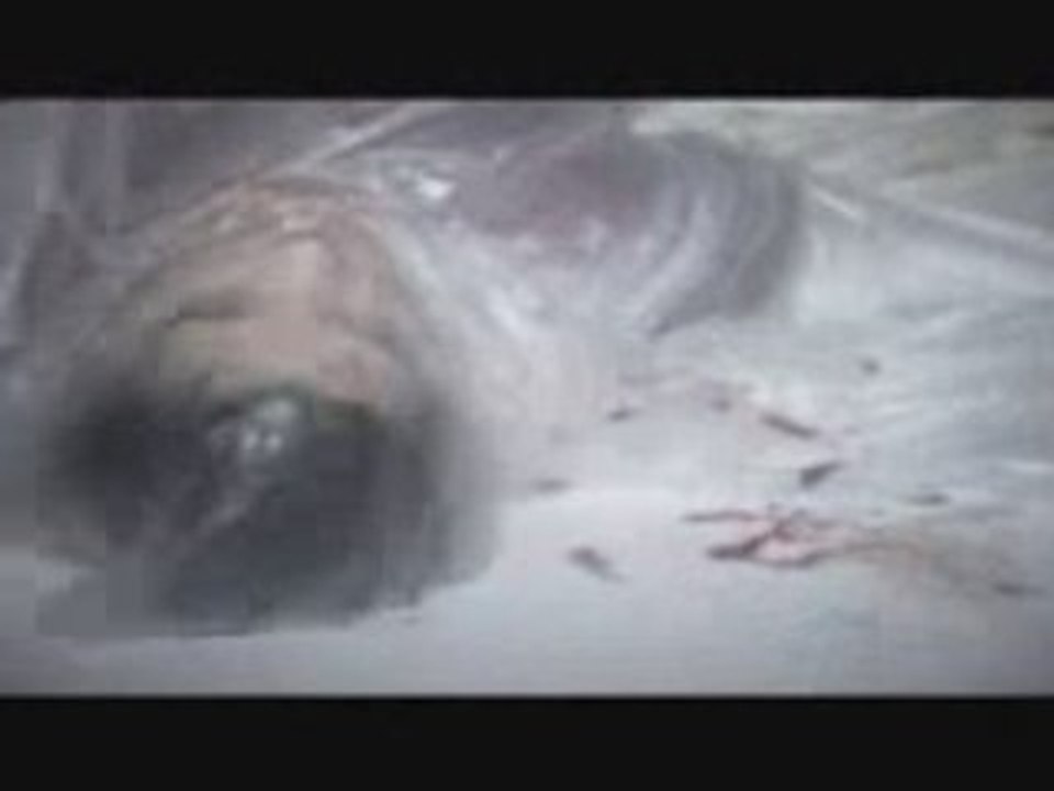 Cavalera Conspiracy - Sanctuary