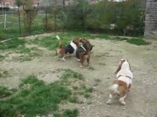 petite visite en Bourgogne