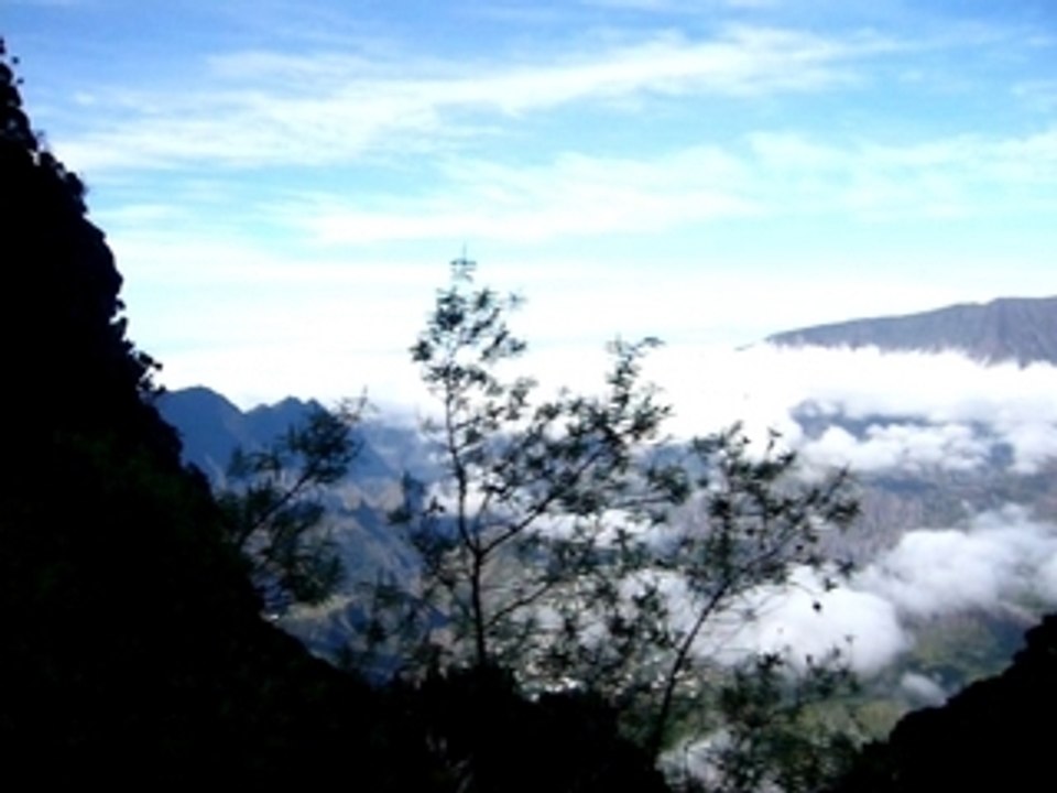 Descente Cilaos