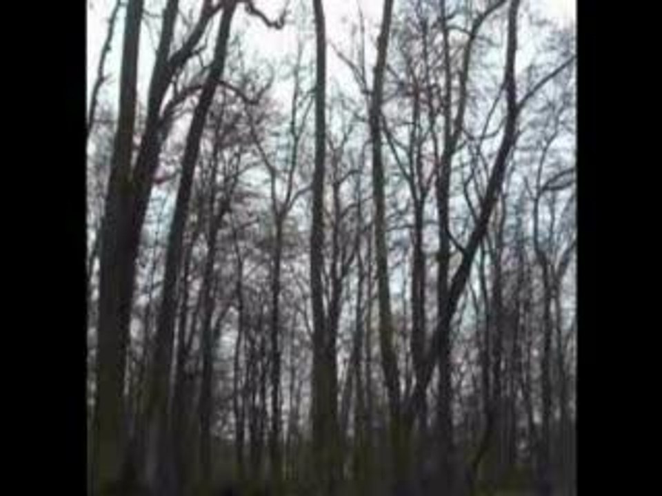 vraie baston t-blazing stylé classe