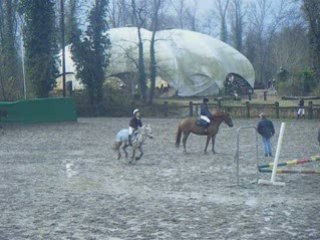 pupuce,puce , nougat,maline  et java