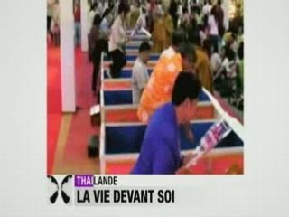 L effet papillon 26 10 08 2x3