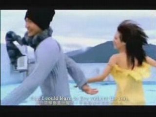 蔡依林-I Won't Last A Day Without You