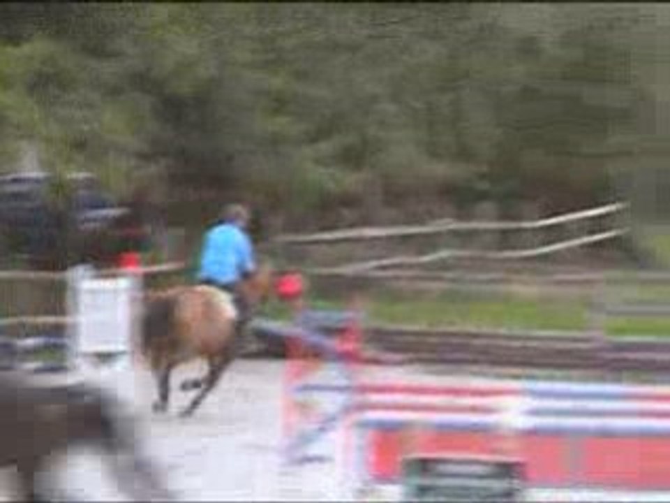 Bretonnière - 1m05 - Damien