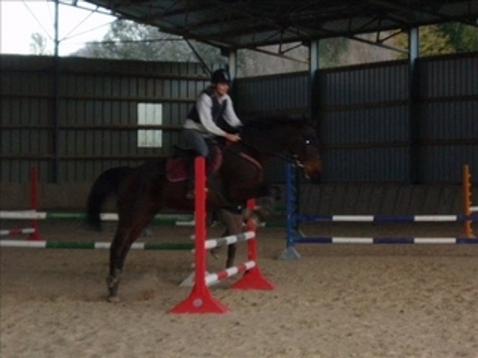 cOncOurs samedi 1er nOvembre 2008