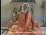 Maestro de los Himalayas Yogiraj Siddhanath - hamsa-yoga.org