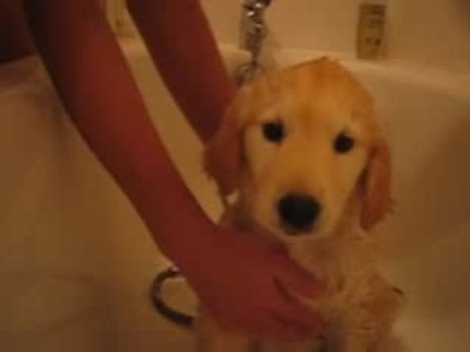 Premiers bain de kimi marina