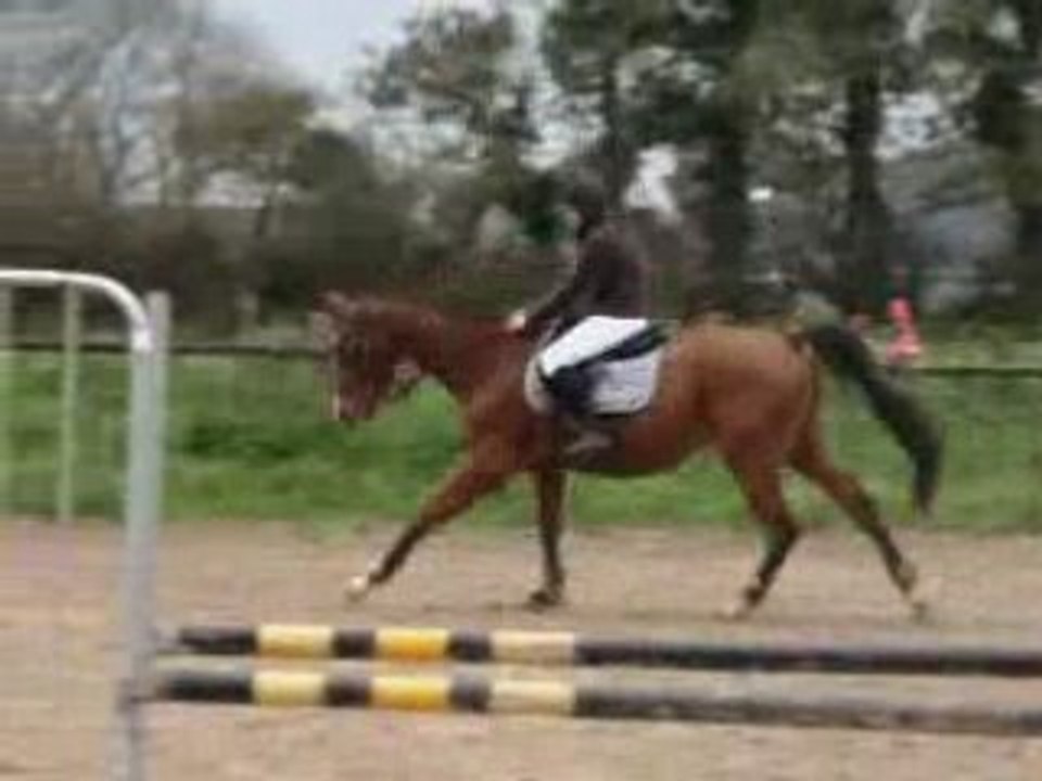 Montage juju concours plab