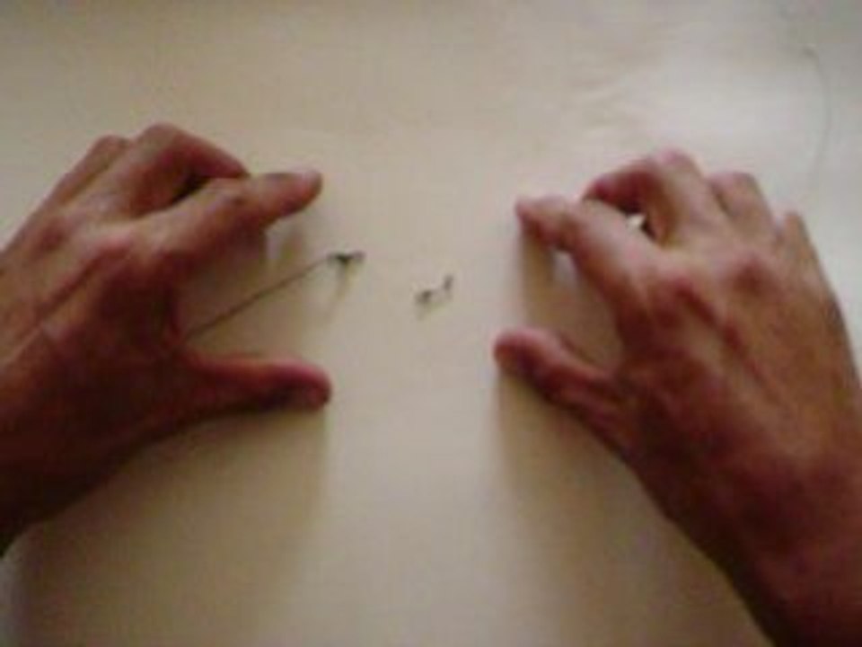 Agraphe sans noeud de marque PAFEX