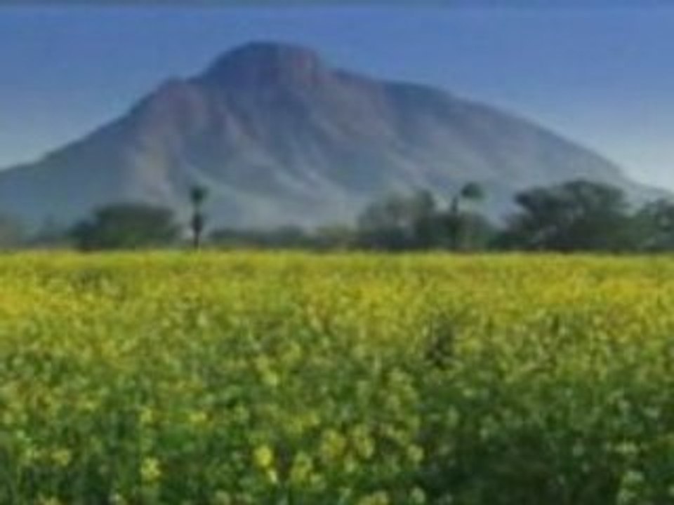 Film 13 Vivre dans le miraculeux Inde