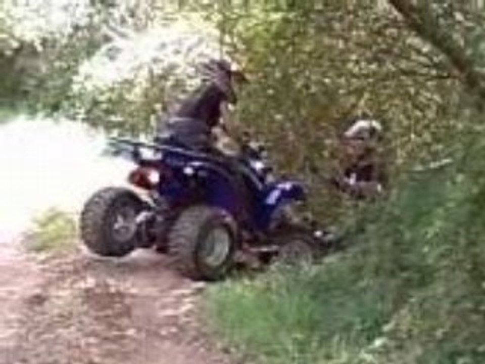 Quad trial