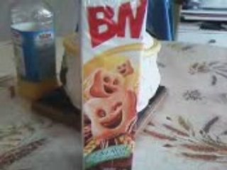 La terrible histoire du BN 3 Les restes de BN