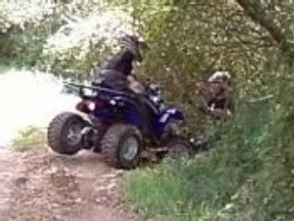 Quad trial