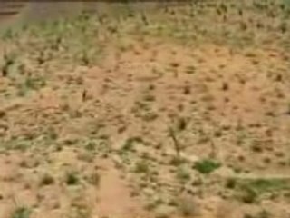 Film 17 Les principes du succes Etats Unis partie 1