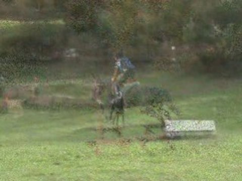 Cours du 1 novembre Cross et Dressage