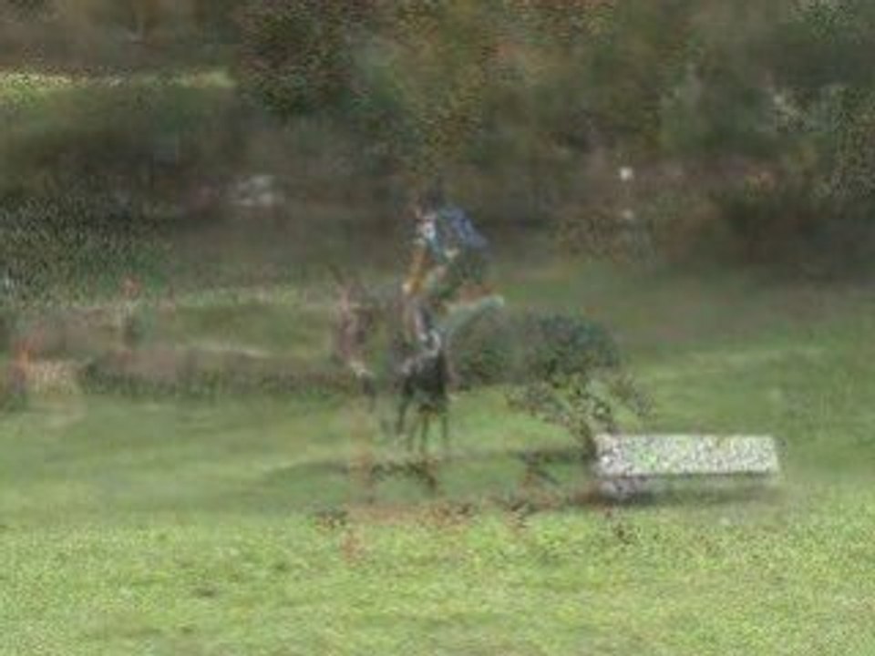 Cours du 1 novembre Cross et Dressage