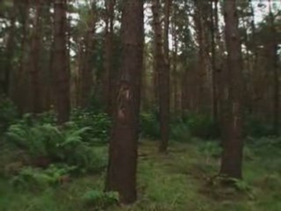 Mission 1212 - Transmission 2