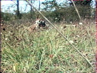 Bande-annonce Anton le Barbare