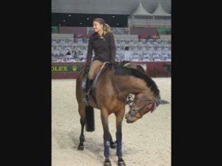 Cigale Du Taillis ='( .