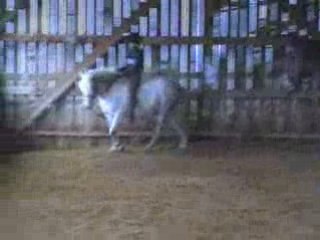 chevaux