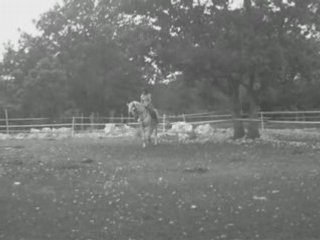 Jaffar et Doublette : Analyse et Impact