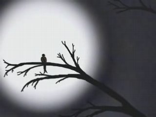 Sami Özer Bül bül