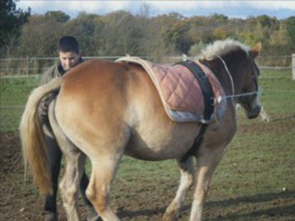 Montage lund 3 nov 08