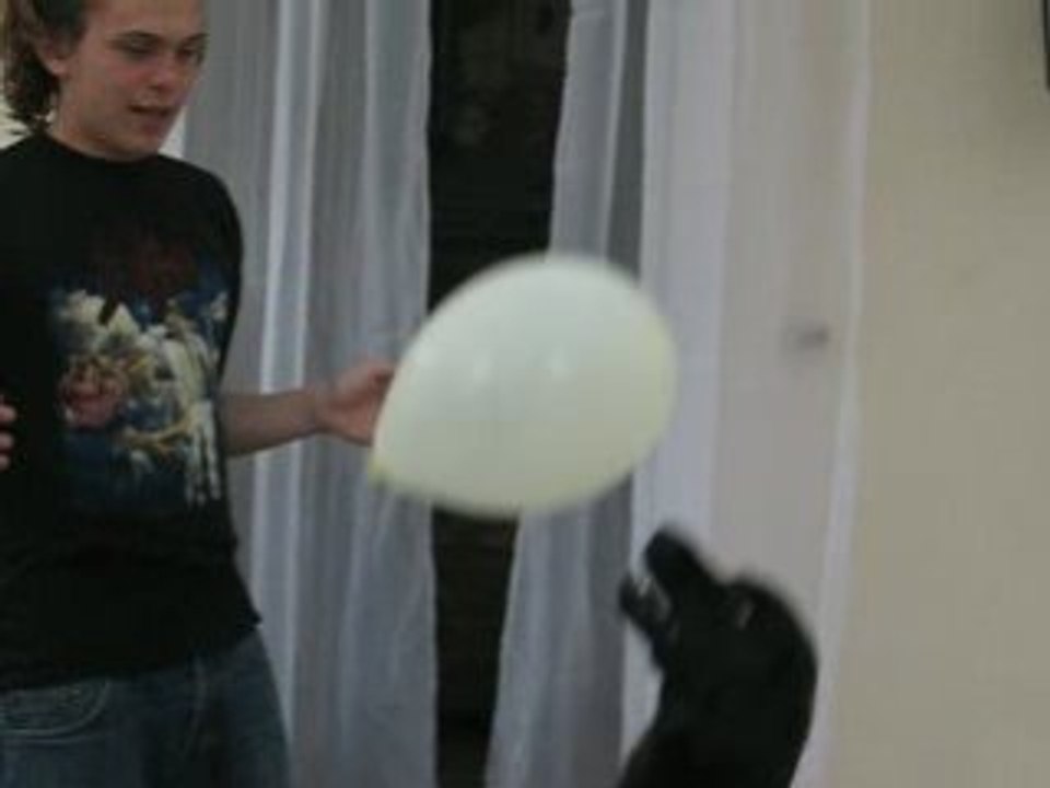 Cisko et son ballon