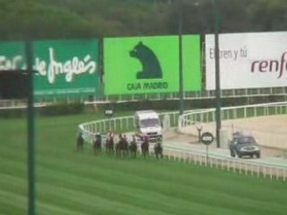 2008 (422) PREMIO PEPSI (CATEGORIA C) (SARASATE -GB-)