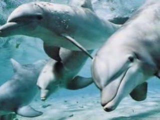 Relaxing video - Jens  Gad