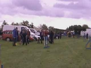 Worcester - Medium Open Jumping - Tig