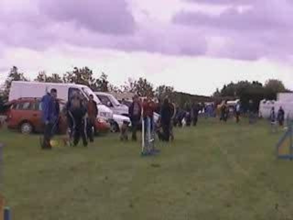 Worcester - Medium Open Jumping - Tig