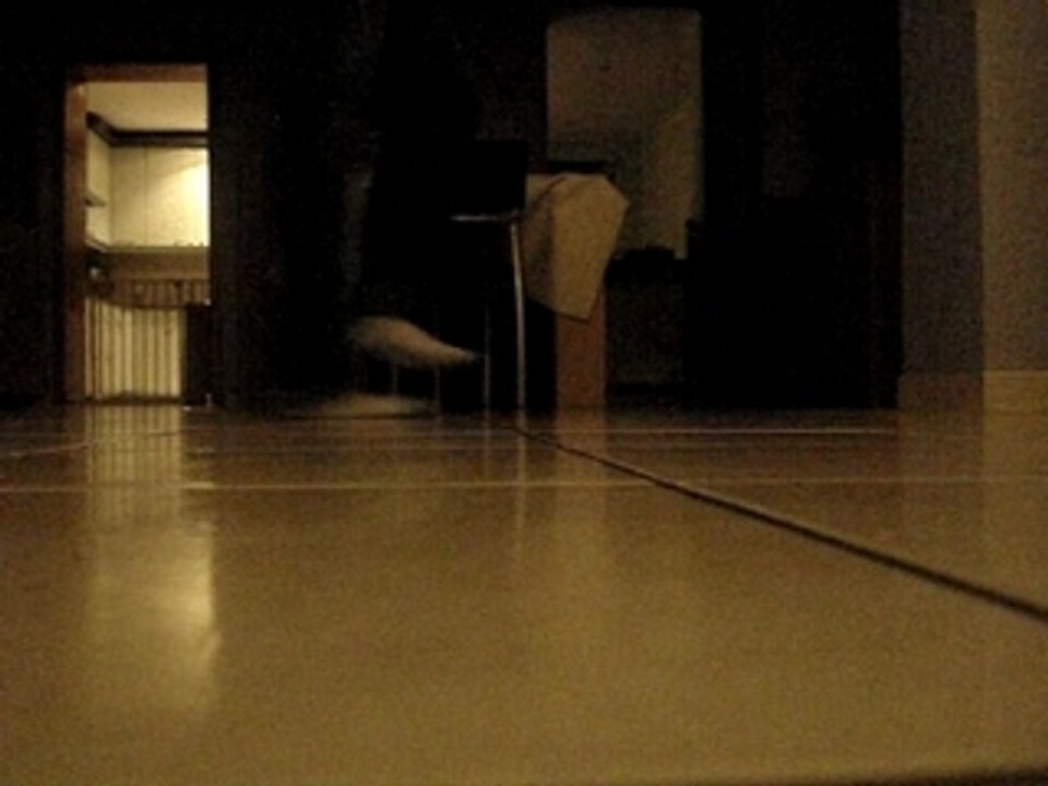 Essai shuffle spiik0