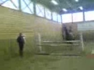 Haribo et moi a la puissance