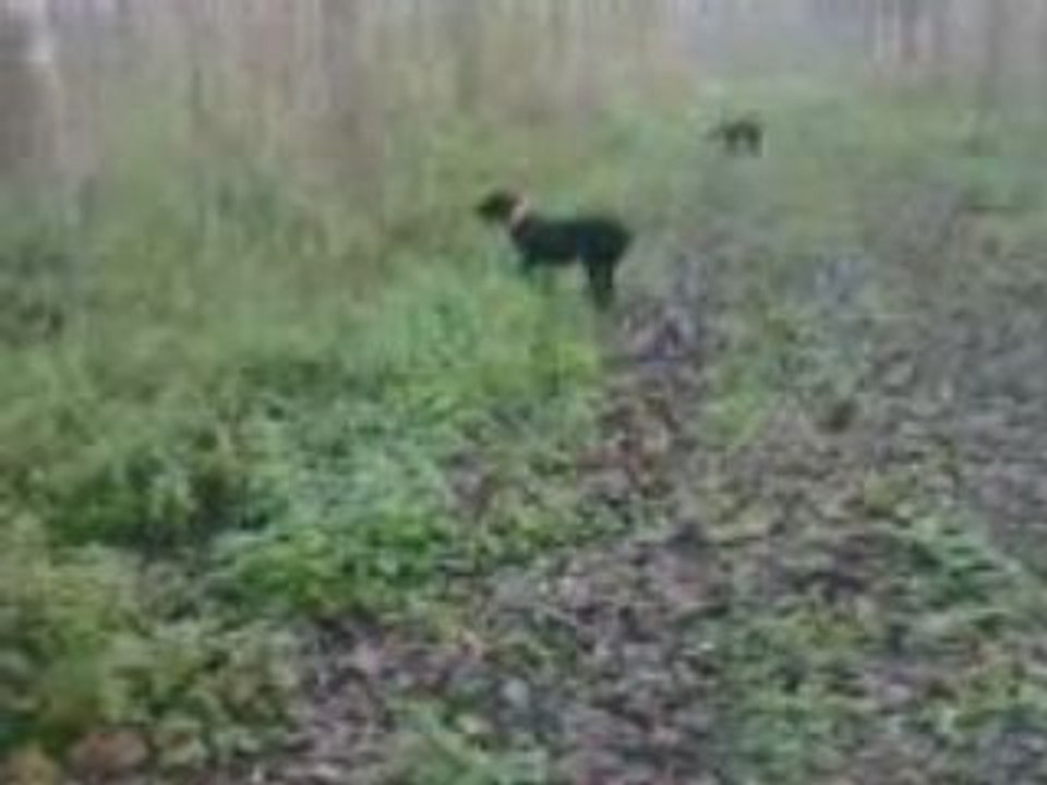 VID035