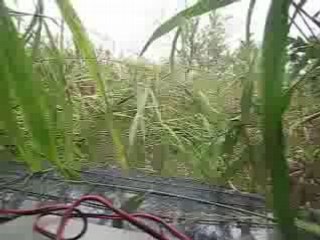 ponteghi explorer  giungla  campomarzo versante sud!!!!!!!